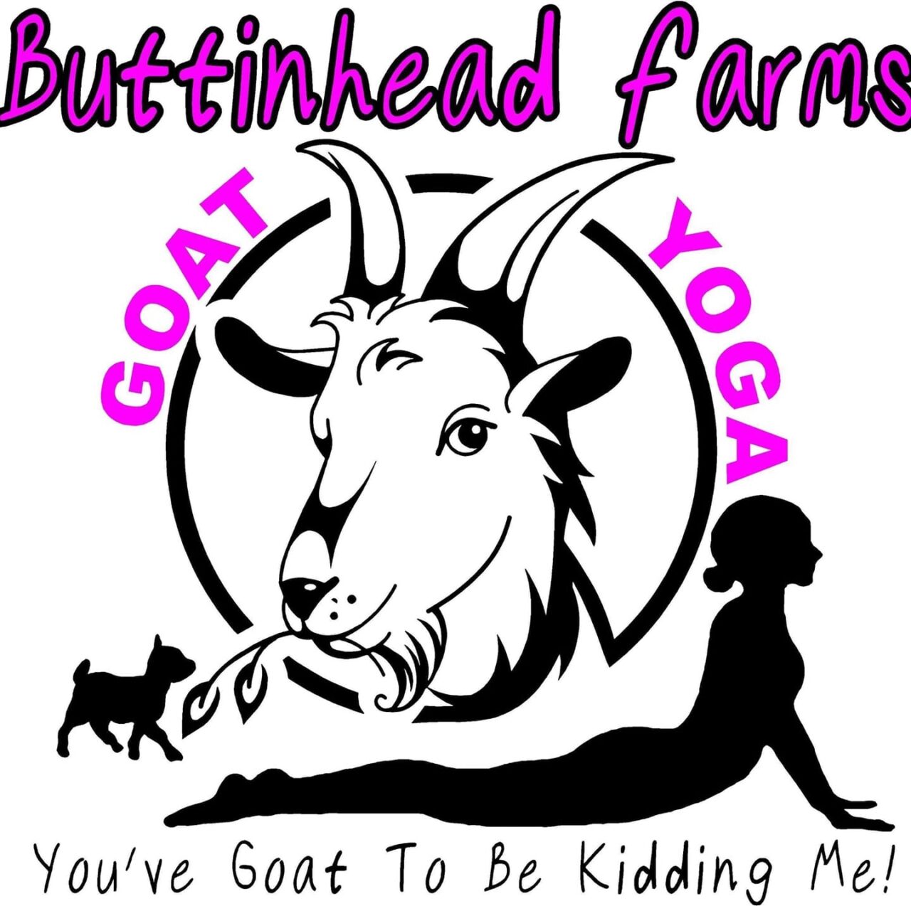 Goat Yoga Northeast Pennsylvania Craft Brewery Susquehanna Brewing Co.